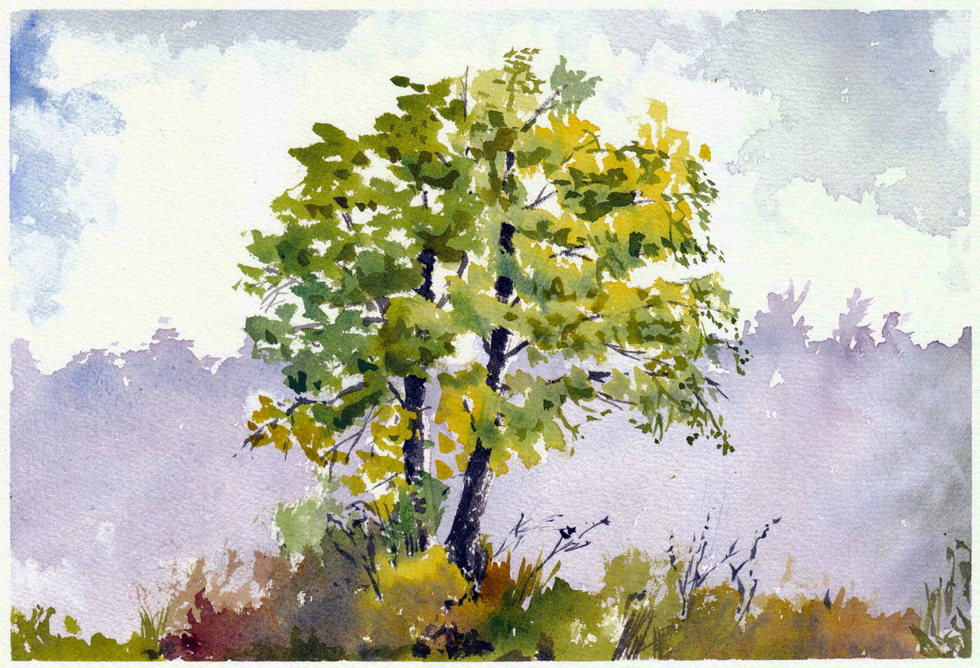 Tree exercise