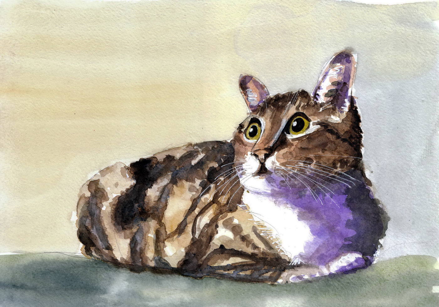 Chat des champs (Sold)