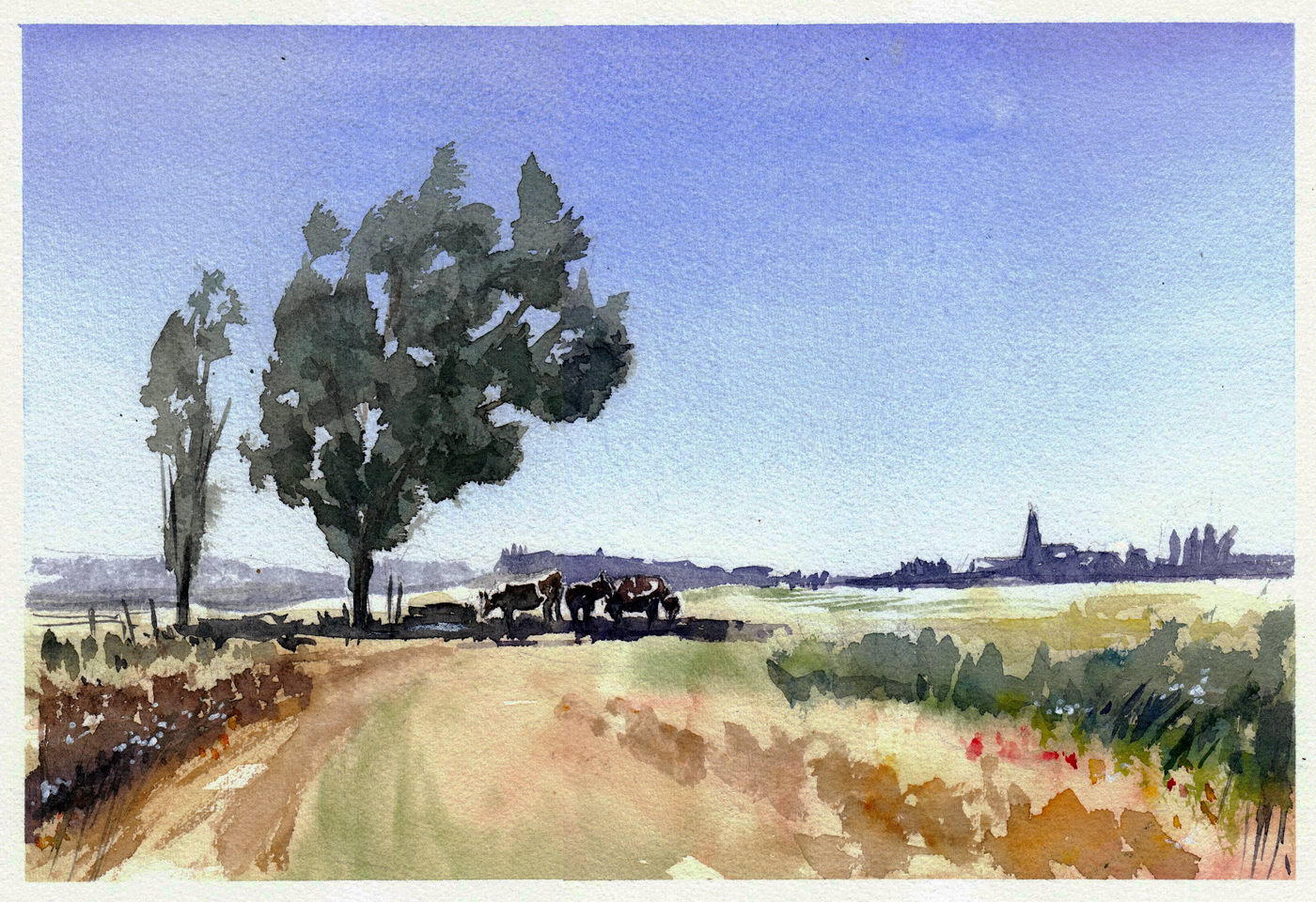 Summer landscape