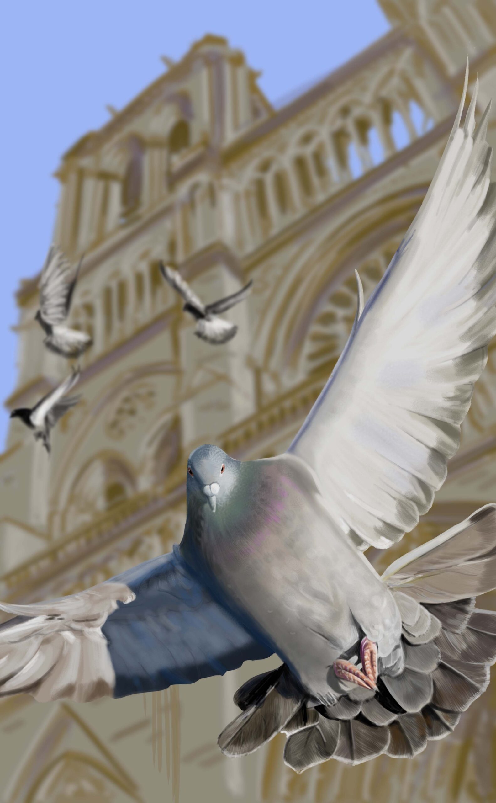 Devant Notre Dame